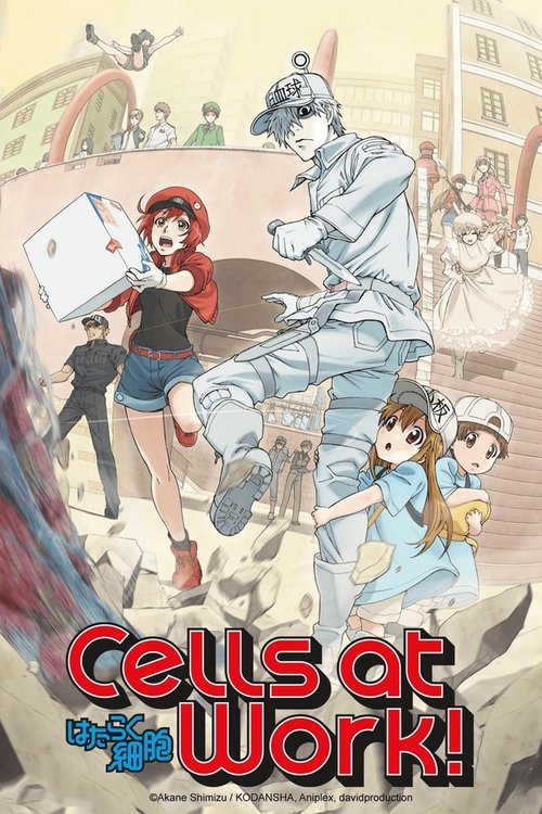 Hataraku Saibou Black Season 1 เซลล์ขยัน พันธุ์เดือด แบล็ค ซับไทย